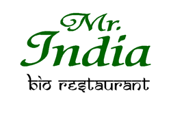 Logo Mr. India